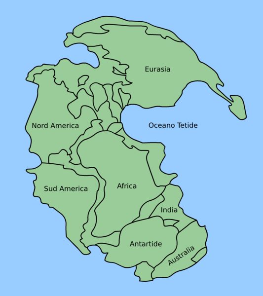 I continenti di oggi individuati all'interno del supercontinente Pangea, circondato dal superoceano Panthalassa; si vede l'oceano Tetide, da cui nascerà il mar Mediterraneo