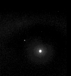 Sequenza di foto di Deimos (a sinistra) e Fobos (a destra) prese  dal rover Opportunity dalla superficie di Marte