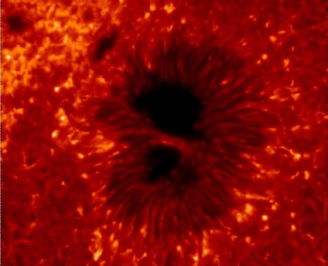 Foto del 2008 della sonda HINODE di una macchia solare