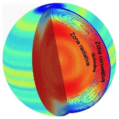 Disegno che mostra il passaggio tra la zona radiativa e la zona convettiva del Sole attraverso il tachocline