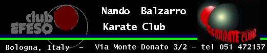 N.B. Karate Club Logo